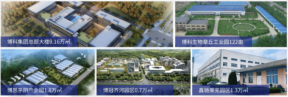 公司2.jpg